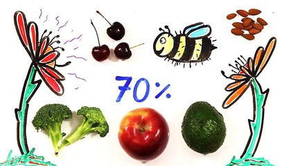 What Happens If All The Bees Die