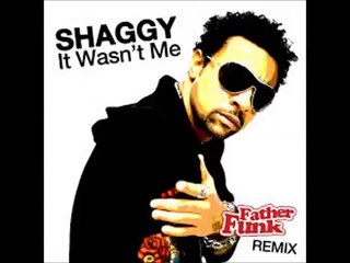 Shaggy (It Wasnt Me)