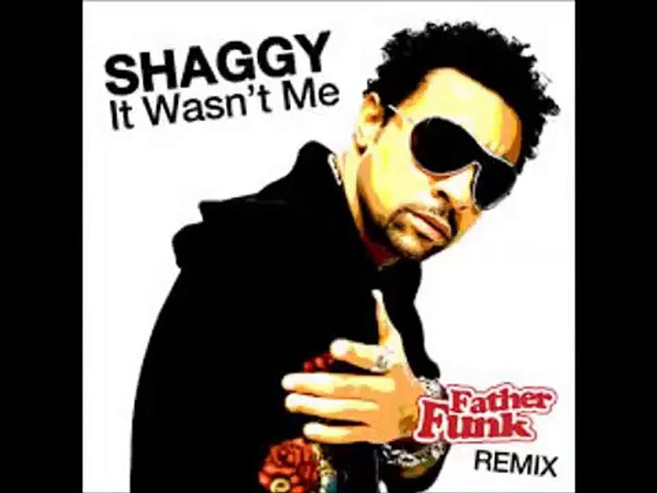 Shaggy (It Wasnt Me)