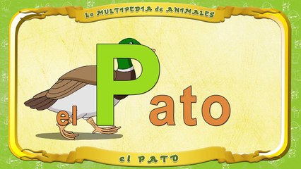 la Multipedia de animales. Letra P el Pato