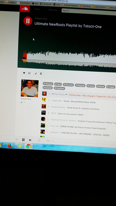 Souris optique sans fil DPI réglable - VicTsing