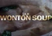 Lil-B-Wonton-Soup Instrumentals   Fileserve DL