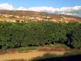 Orange Groves Outside Ontario