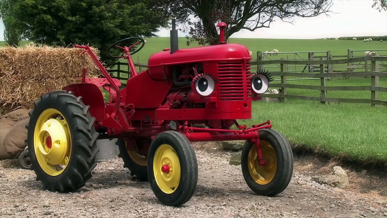 Sunday | A Week With Fergie | Little Grey Fergie | Gråtass