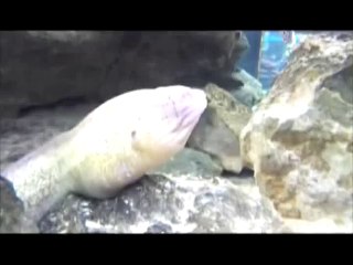 motherfucker I'm eel