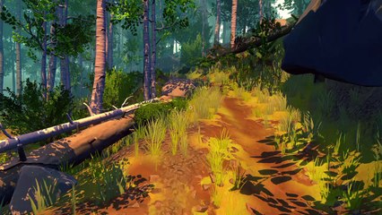 A NameLesS FiReWatCh "BeAcH GiRLs"