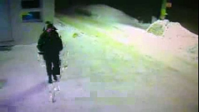 Не видел куда мои кошаки побежали