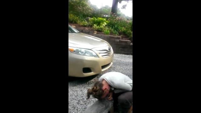 Собака увидела хозяйку после 2 лет разлуки и едва не упала в обморок