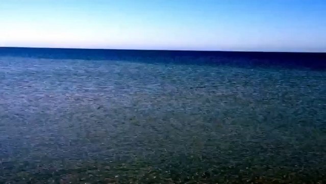 Странная рыба приплыла к берегу