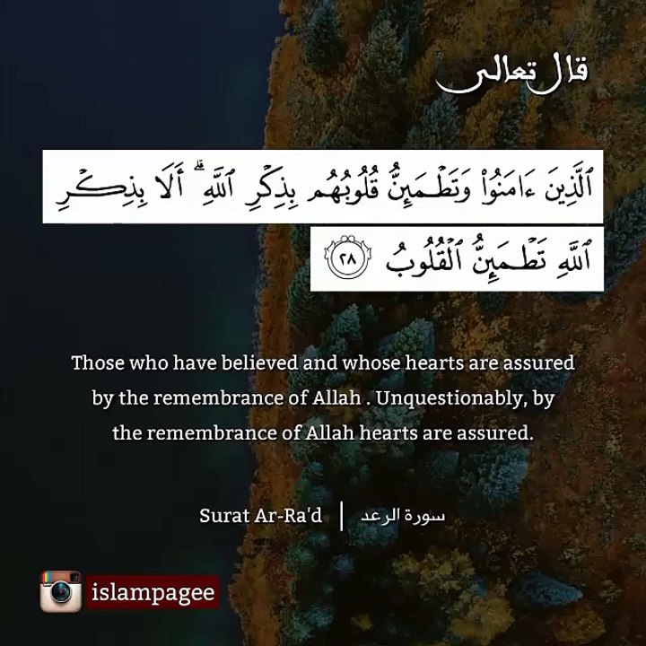 ماهر المعيقلي صوت رائع