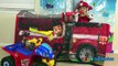 CUTE KIDS COSTUMES SHOW Disney Junior Mickey Mouse Nick Jr. Paw Patrol Power Wheels Cars McQueen