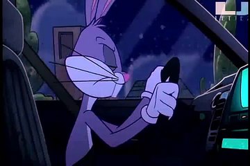 The New Looney Tunes (2012) HINDI Promo