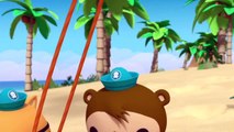 [ HOT ] Octonauts ### Season 4 Episodes 4 *** The Baby Sea Turtles