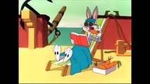 Bucaneer Bunny (Class 2 Levers)-2