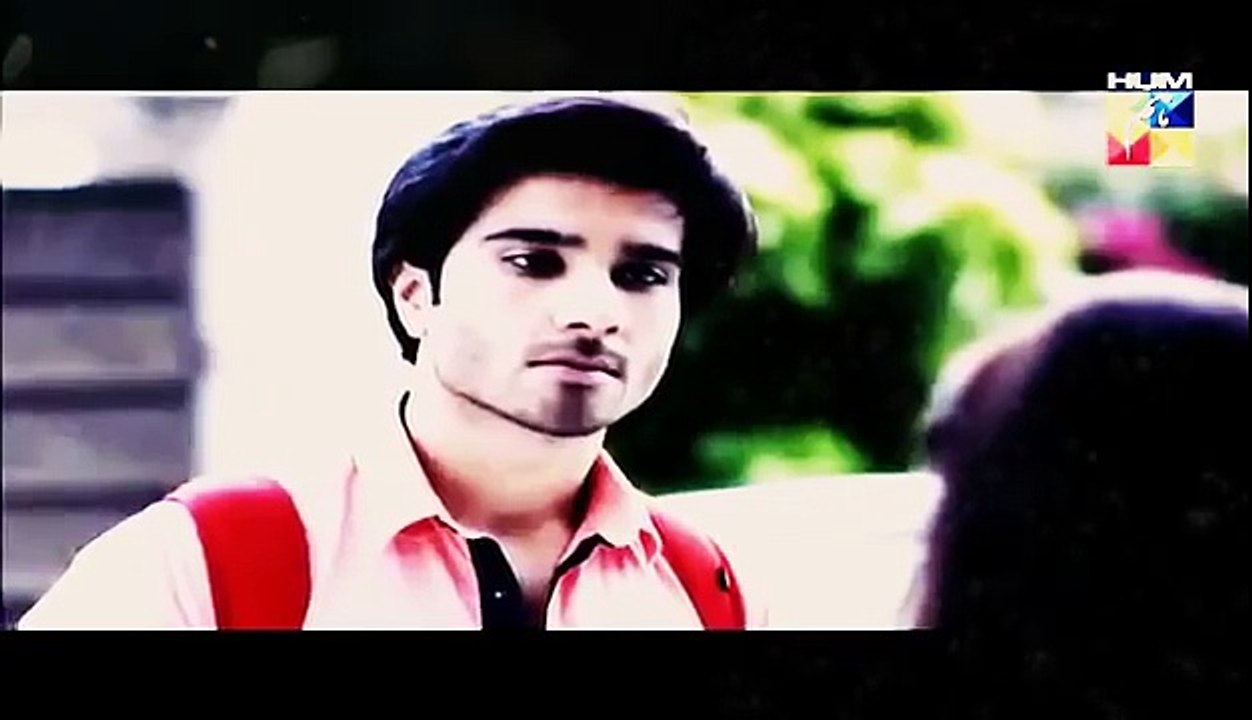 Adeel Gulerana vm - sanam teri kasam