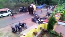 Angry Elephant Attack in Kerala