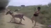 Ha Ha Donkey Fighting With Man-Top Funny Videos-Top Prank Videos-Top Vines Videos-Viral Video-Funny Fails