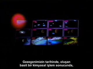 Carl Sagan'dan İnsan Evrimi Üzerine