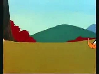 Looney Toons in Hindi (very funny)