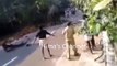 KILLER ELEPHANT ATTACK IN KERALA INDIA || ANIMAL ATTACK VIDEOS