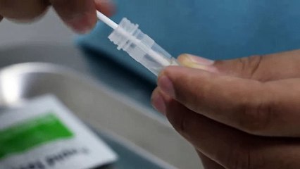 A dog passes blood in the stools