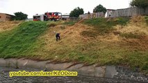 Animal Rescue- Dramatic Dog Rescue out of Flood Water