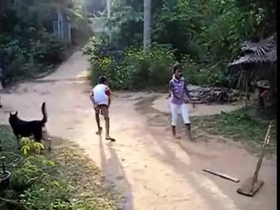 Dog play cricket with children Awesome and unbeliveable