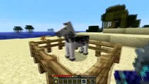 Minecraft Horses - How to Craft Horse Armor Minecraft 1.8