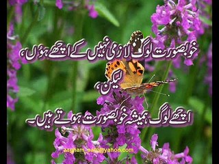 afshan zabi best songs sivia -