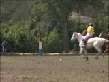 Clip du Grand Tournoi 2007 : horse-ball, polo et pony-games