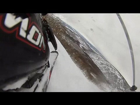 Горные лыжи Камчатка