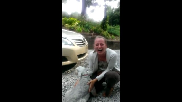 Собака увидела хозяйку после 2 лет разлуки и едва не упала в обморок