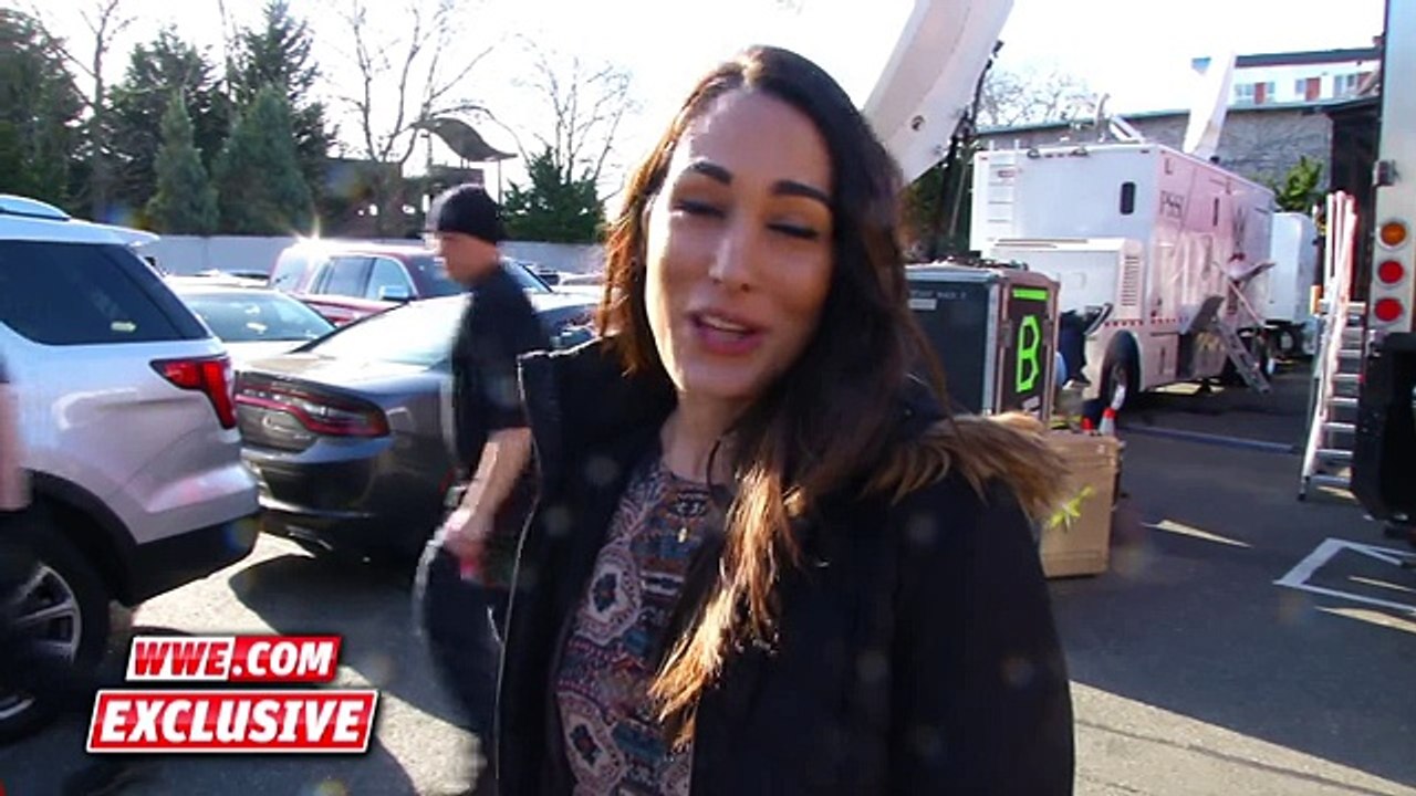 Brie Bella reflects on her husband’s career- February 8, 2016