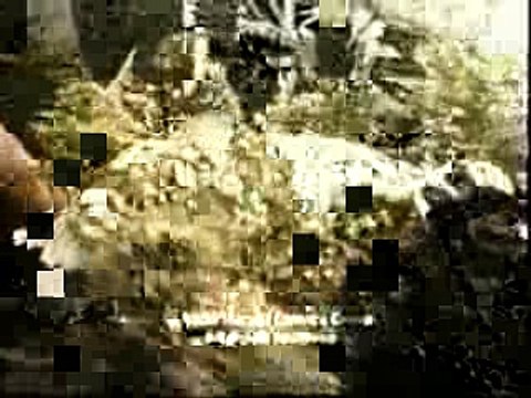 1980 Flying Captain America and Hulk Toys Commercial