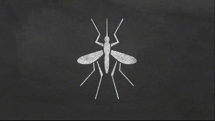 West Nile Virus Public Service Announcement "Prevention"