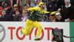 Top 5 Greatest Boundary Line Catches Ever Seen In Cricket History !!-(PlayM