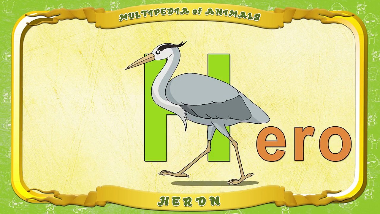Multipedia of Animals. Letter H Heron