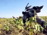Сбитый ополченцами ДНР украинский вертолет /  Downed militias Ukrainian helicopter