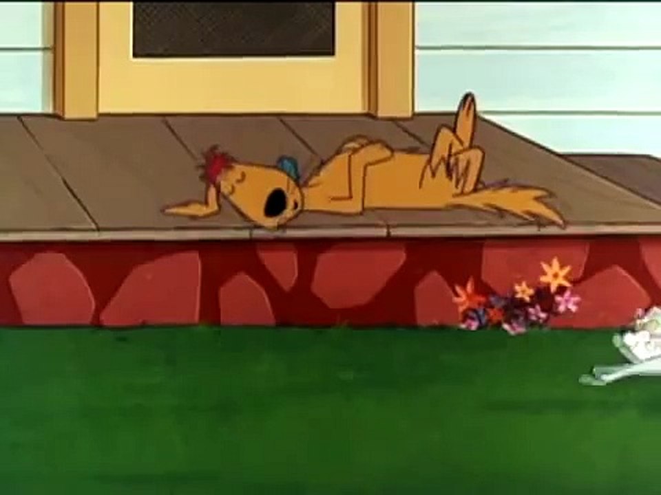 precious pup intro