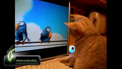 Dünya sadece bir pet kuşkusuz sevimli bir özelliği var