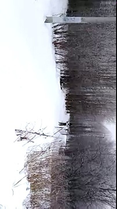 Лыжные гонки(13)