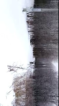 Лыжные гонки(13)