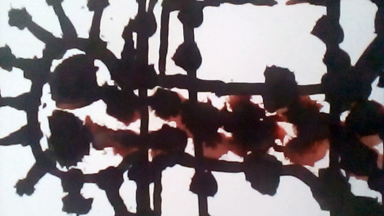 Thomas Riesner-Kunst und Psychiatrie 13