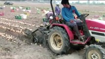Amazing Agriculture Machine Compilation- Crazy Farm Tractor- New Technology Farming