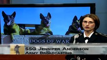 War Dog