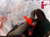 Funny Video: Guy Gets His Ass Kicked By a Moose Calf