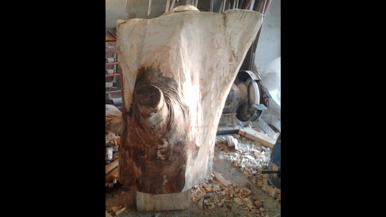 l'aigle en bois de A a Z