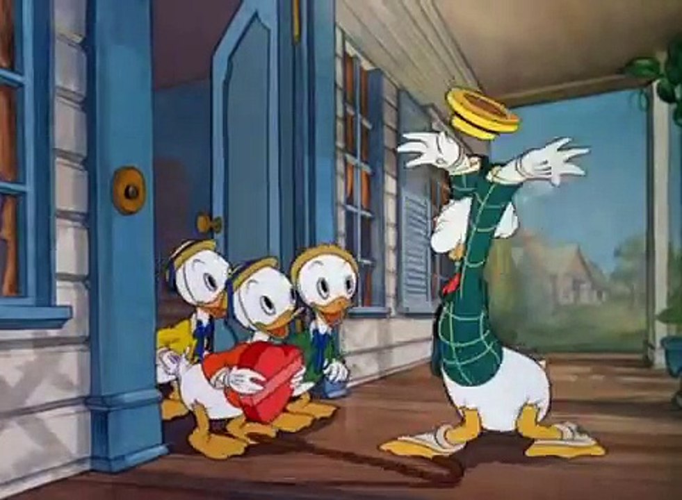 Donald Duck, Daisy & Nephews - Mr. Duck Steps Out