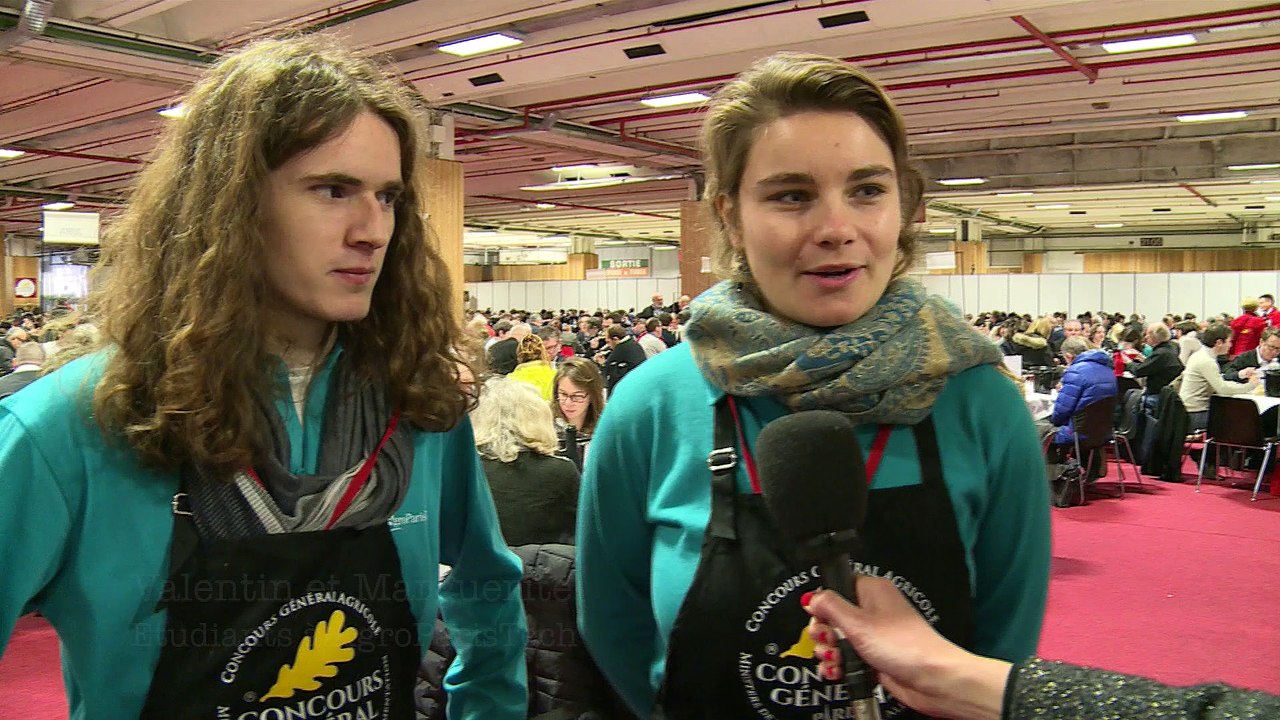 Concours général agricole : les petites mains d'AgroParisTech
