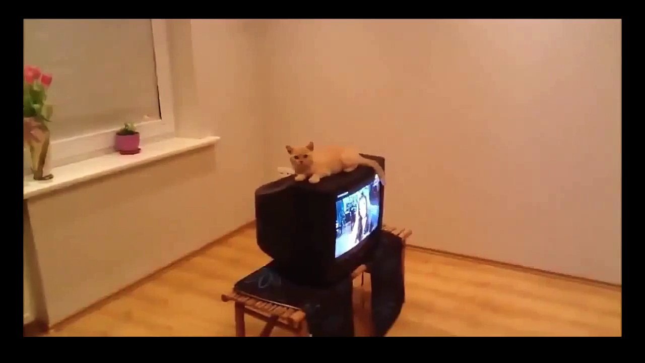 COMEDY